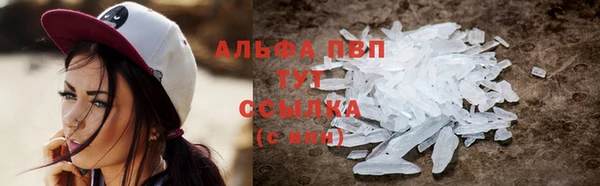 стаф Горняк