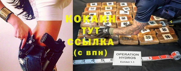 2c-b Горнозаводск