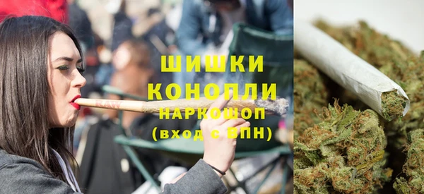 стаф Горняк