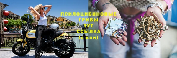 марки nbome Гусиноозёрск