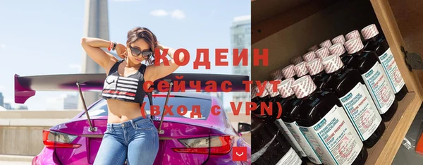 стаф Горняк