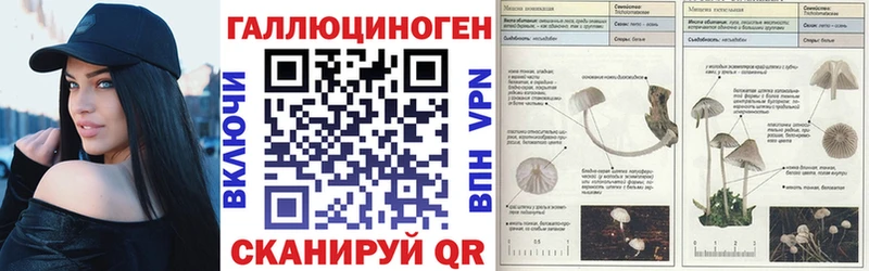 Псилоцибиновые грибы Cubensis  купить  цена  Заречный 